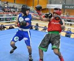 Foto de la galería: Velada de Boxeo: el festejo posadeño copó el ring en el "Finito"