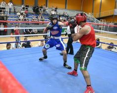 Foto de la galería: Velada de Boxeo: el festejo posadeño copó el ring en el "Finito"
