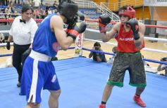 Foto de la galería: Velada de Boxeo: el festejo posadeño copó el ring en el "Finito"