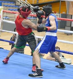 Foto de la galería: Velada de Boxeo: el festejo posadeño copó el ring en el "Finito"