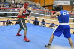 Foto de la galería: Velada de Boxeo: el festejo posadeño copó el ring en el "Finito"