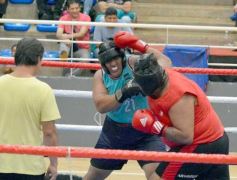 Foto de la galería: Velada de Boxeo: el festejo posadeño copó el ring en el "Finito"