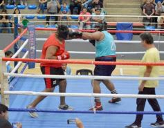 Foto de la galería: Velada de Boxeo: el festejo posadeño copó el ring en el "Finito"