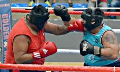 Foto de la galería: Velada de Boxeo: el festejo posadeño copó el ring en el "Finito"