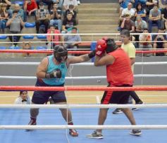 Foto de la galería: Velada de Boxeo: el festejo posadeño copó el ring en el "Finito"