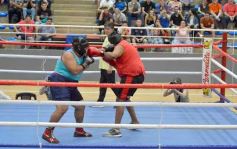 Foto de la galería: Velada de Boxeo: el festejo posadeño copó el ring en el "Finito"