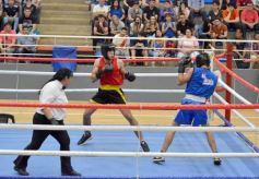 Foto de la galería: Velada de Boxeo: el festejo posadeño copó el ring en el "Finito"