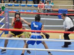 Foto de la galería: Velada de Boxeo: el festejo posadeño copó el ring en el "Finito"