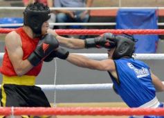 Foto de la galería: Velada de Boxeo: el festejo posadeño copó el ring en el "Finito"