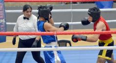 Foto de la galería: Velada de Boxeo: el festejo posadeño copó el ring en el "Finito"