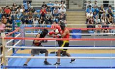 Foto de la galería: Velada de Boxeo: el festejo posadeño copó el ring en el "Finito"