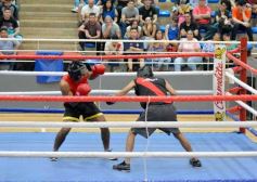 Foto de la galería: Velada de Boxeo: el festejo posadeño copó el ring en el "Finito"