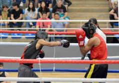 Foto de la galería: Velada de Boxeo: el festejo posadeño copó el ring en el "Finito"