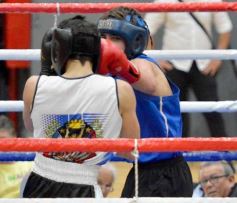 Foto de la galería: Velada de Boxeo: el festejo posadeño copó el ring en el "Finito"