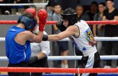 Foto de la galería: Velada de Boxeo: el festejo posadeño copó el ring en el "Finito"