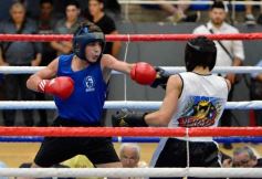 Foto de la galería: Velada de Boxeo: el festejo posadeño copó el ring en el "Finito"