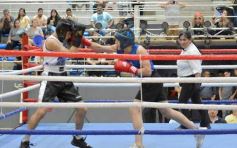 Foto de la galería: Velada de Boxeo: el festejo posadeño copó el ring en el "Finito"