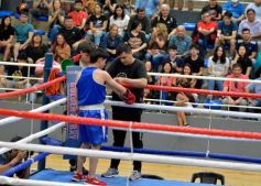 Foto de la galería: Velada de Boxeo: el festejo posadeño copó el ring en el "Finito"