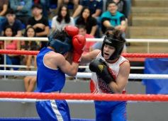Foto de la galería: Velada de Boxeo: el festejo posadeño copó el ring en el "Finito"