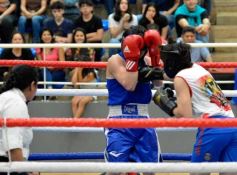 Foto de la galería: Velada de Boxeo: el festejo posadeño copó el ring en el "Finito"