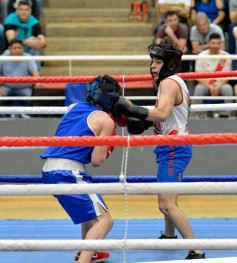 Foto de la galería: Velada de Boxeo: el festejo posadeño copó el ring en el "Finito"