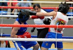 Foto de la galería: Velada de Boxeo: el festejo posadeño copó el ring en el "Finito"