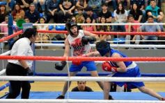 Foto de la galería: Velada de Boxeo: el festejo posadeño copó el ring en el "Finito"
