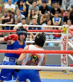 Foto de la galería: Velada de Boxeo: el festejo posadeño copó el ring en el "Finito"