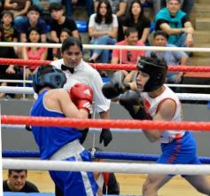 Foto de la galería: Velada de Boxeo: el festejo posadeño copó el ring en el "Finito"