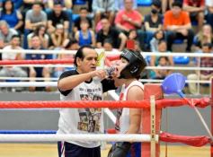 Foto de la galería: Velada de Boxeo: el festejo posadeño copó el ring en el "Finito"