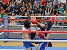 Foto de la galería: Velada de Boxeo: el festejo posadeño copó el ring en el "Finito"