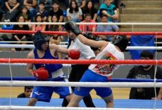 Foto de la galería: Velada de Boxeo: el festejo posadeño copó el ring en el "Finito"