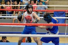 Foto de la galería: Velada de Boxeo: el festejo posadeño copó el ring en el "Finito"