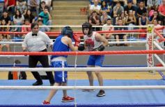 Foto de la galería: Velada de Boxeo: el festejo posadeño copó el ring en el "Finito"