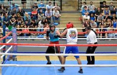Foto de la galería: Velada de Boxeo: el festejo posadeño copó el ring en el "Finito"