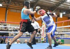 Foto de la galería: Velada de Boxeo: el festejo posadeño copó el ring en el "Finito"