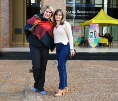 Foto de la galería: Semana de la Lactancia: realizaron una Jornada de Promoción en la Legislatura Misionera