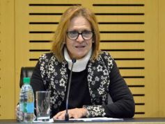 Foto de la galería: Semana de la Lactancia: realizaron una Jornada de Promoción en la Legislatura Misionera