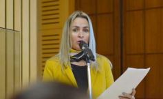 Foto de la galería: Semana de la Lactancia: realizaron una Jornada de Promoción en la Legislatura Misionera