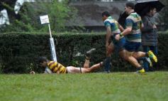 Foto de la galería: Regional B de Rugby: Tacurú se consagró campeón y buscará el ascenso