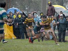 Foto de la galería: Regional B de Rugby: Tacurú se consagró campeón y buscará el ascenso