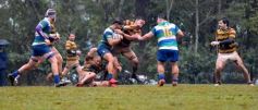 Foto de la galería: Regional B de Rugby: Tacurú se consagró campeón y buscará el ascenso
