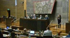 Foto de la galería: Legislatura Misionera: declararon Monumento Natural a especies de orquídeas y el Día Provincial del Orquideófilo