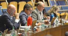 Foto de la galería: Legislatura Misionera: declararon Monumento Natural a especies de orquídeas y el Día Provincial del Orquideófilo