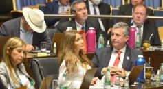 Foto de la galería: Legislatura Misionera: declararon Monumento Natural a especies de orquídeas y el Día Provincial del Orquideófilo