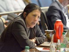 Foto de la galería: Legislatura Misionera: declararon Monumento Natural a especies de orquídeas y el Día Provincial del Orquideófilo