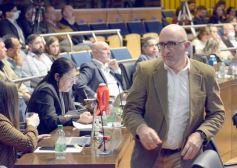 Foto de la galería: Legislatura Misionera: declararon Monumento Natural a especies de orquídeas y el Día Provincial del Orquideófilo