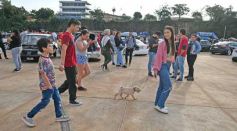Foto de la galería: Posadas Tour: el tuning sumó al fanatismo en el finde fierrero de la ciudad capital