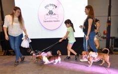 Foto de la galería: Súper coquetos: los más peques tuvieron una tarde de moda y brillo en el Parque del Conocimiento