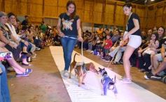 Foto de la galería: Súper coquetos: los más peques tuvieron una tarde de moda y brillo en el Parque del Conocimiento